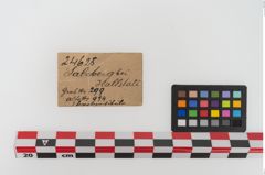 Etikett zu Bronzesitula (NHMW-PRAE-024625)